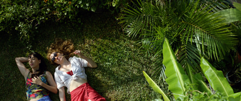 foto acostadas pasto