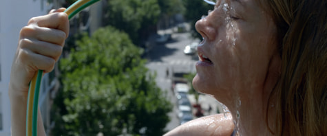 vergel foto se moja terraza